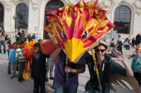 Carnaval des Emplumés 2015